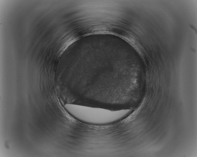 X0000097821289200804041350