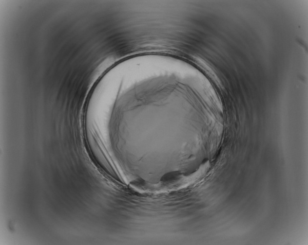 X0000097821291200804041350