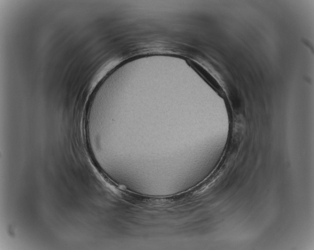 X0000097821293200804041350