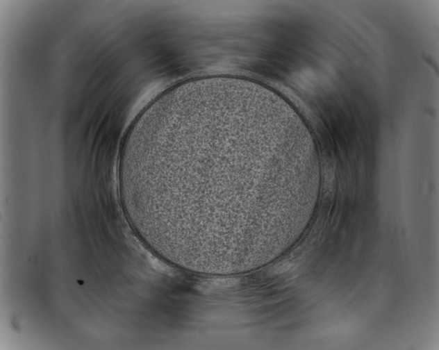 X0000097821294200804041350