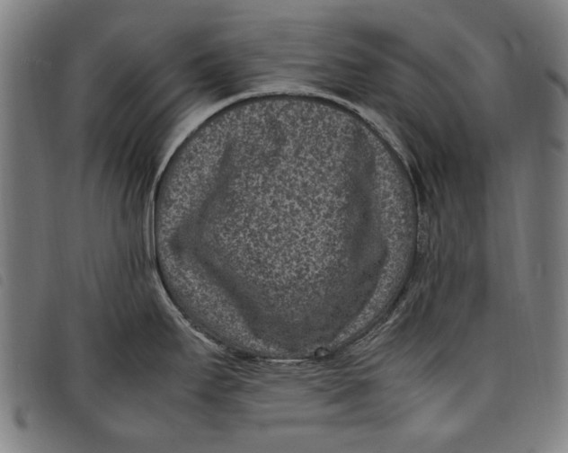 X0000097821295200804041350