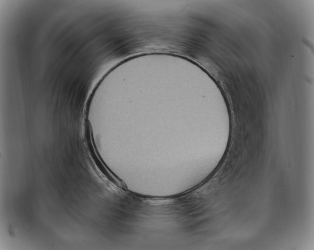 X0000097821296200804041350