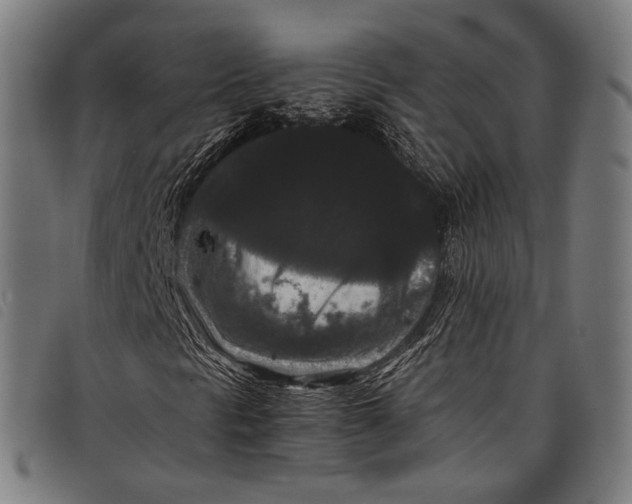 X0000097821297200804041349