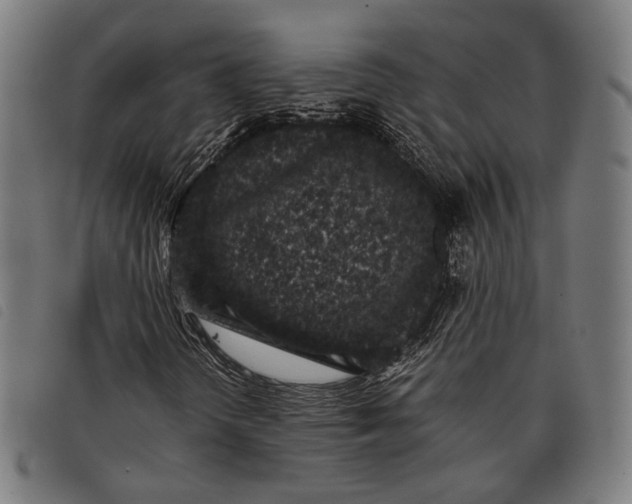 X0000097821298200804041349