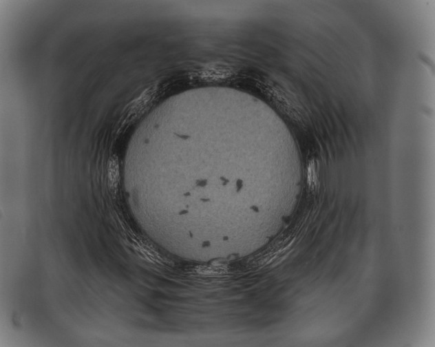 X0000097821299200804041349