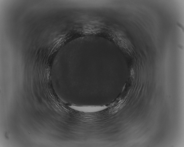 X0000097821300200804041349