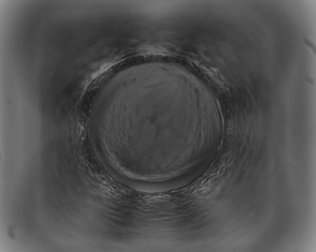 X0000097821303200804041350