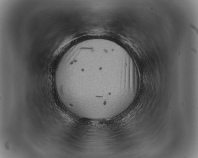 X0000097821304200804041350