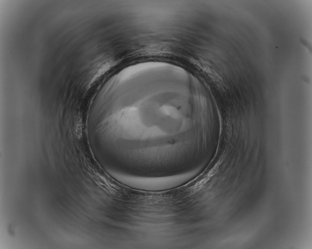 X0000097821306200804041350