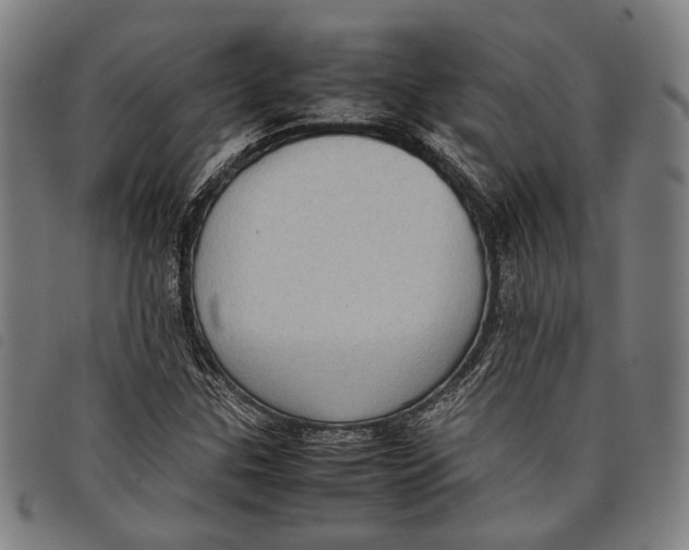 X0000097821307200804041350