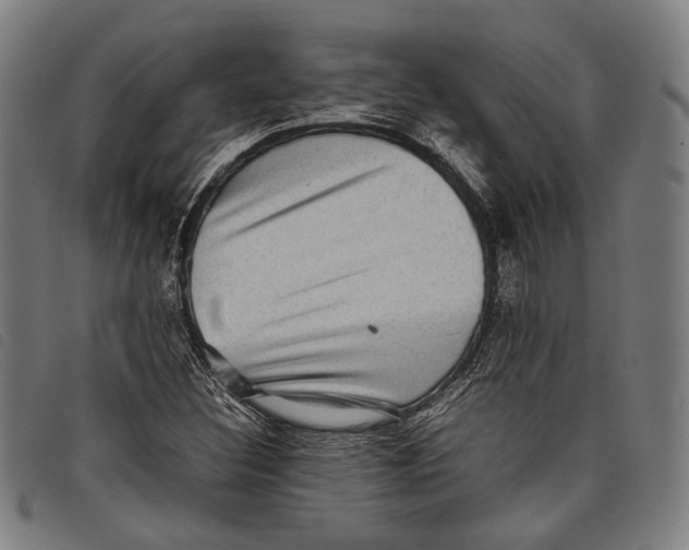 X0000097821308200804041350