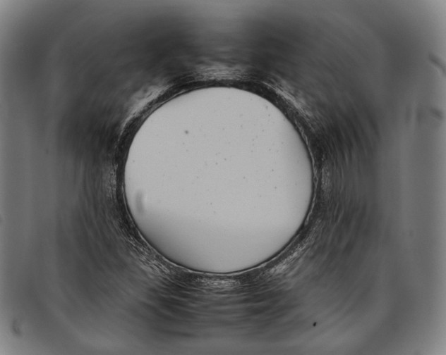 X0000097821309200804041350