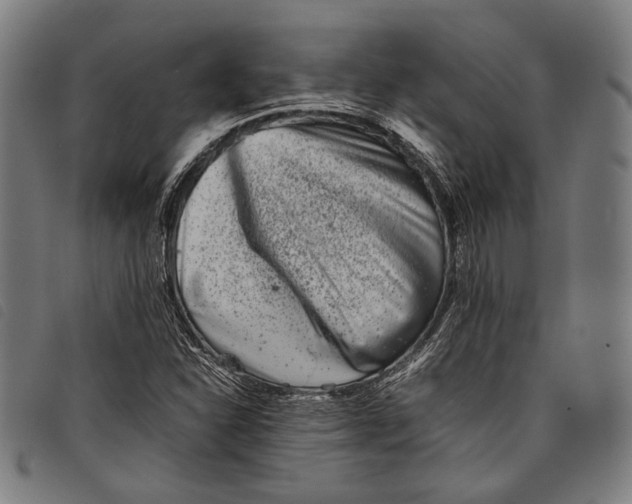 X0000097821310200804041350