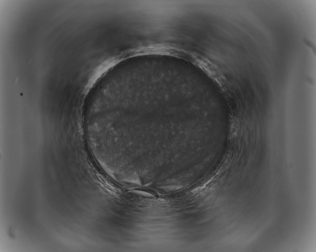 X0000097821312200804041350