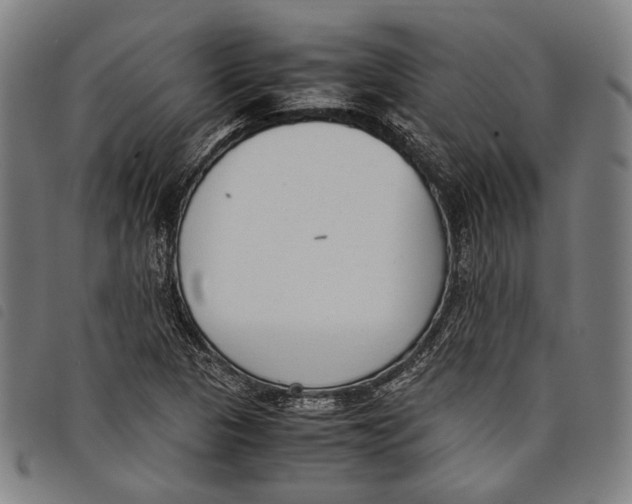 X0000097821313200804041350