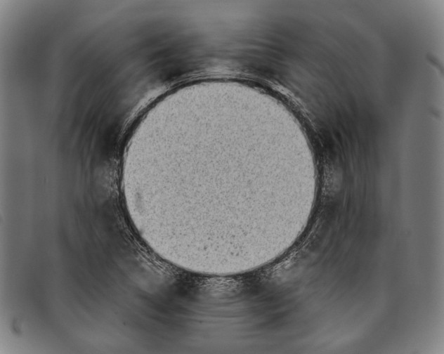 X0000097821314200804041350