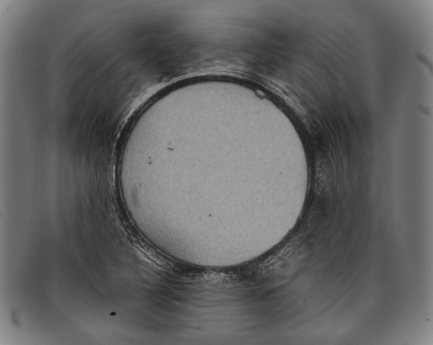 X0000097821316200804041350