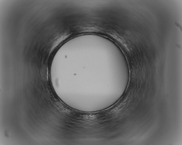 X0000097821317200804041350