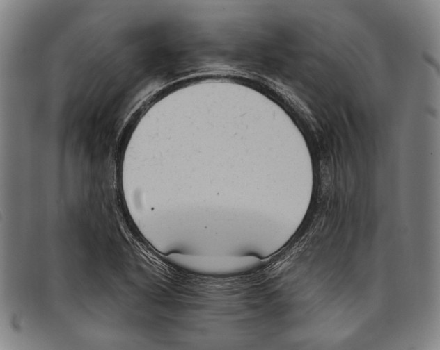 X0000097821318200804041350