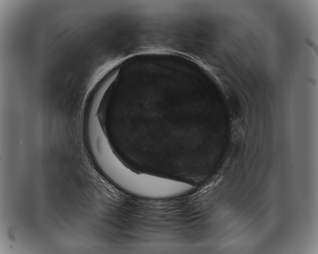 X0000097821319200804041350