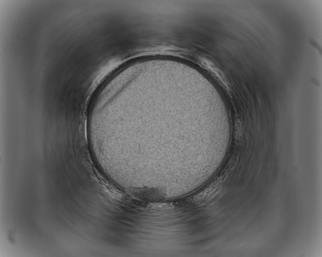 X0000097821320200804041350