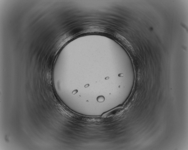 X0000097821321200804041350