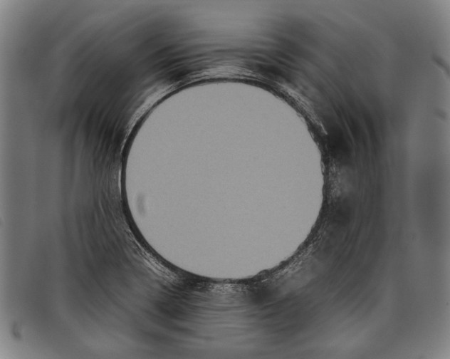 X0000097821322200804041350