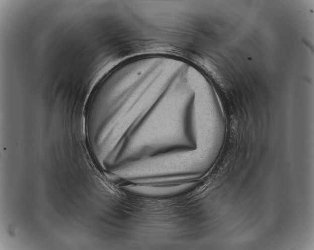 X0000097821324200804041350