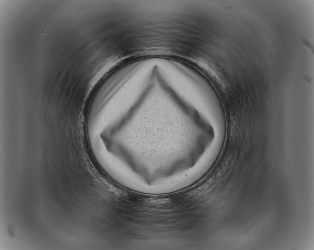 X0000097821325200804041350