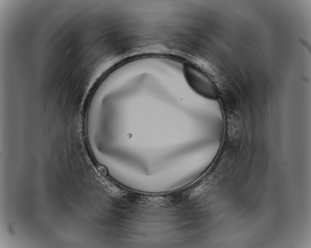 X0000097821326200804041350