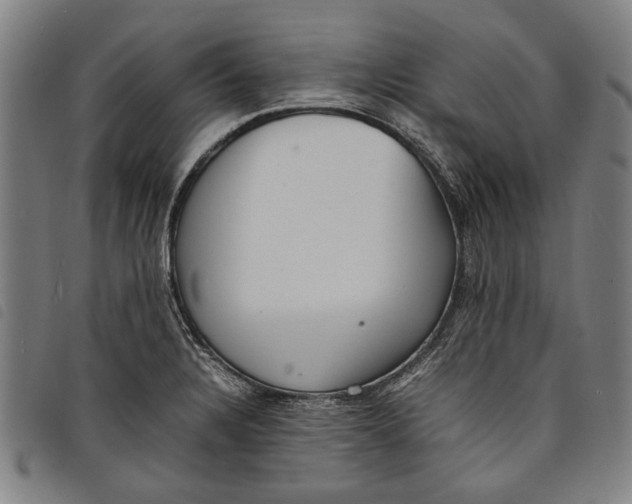 X0000097821328200804041350