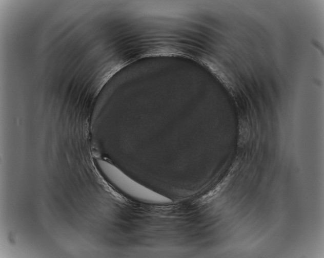 X0000097821329200804041350