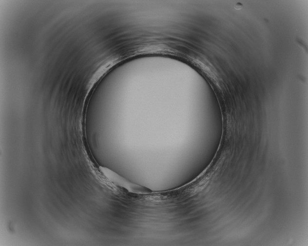 X0000097821330200804041350