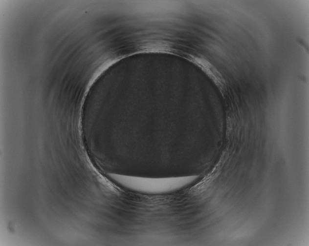 X0000097821331200804041350