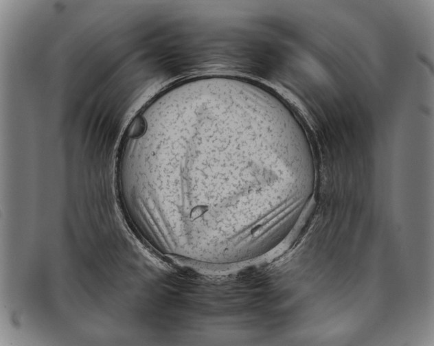 X0000097821333200804041350