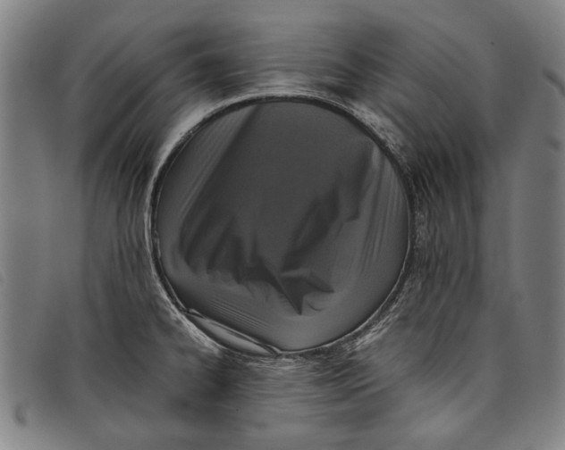 X0000097821334200804041350