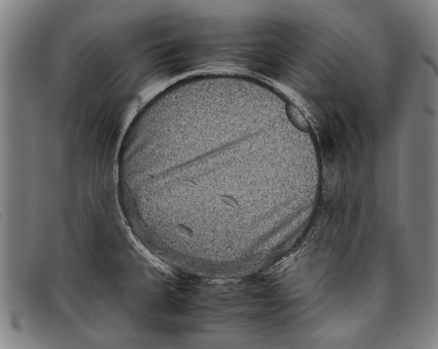 X0000097821335200804041350