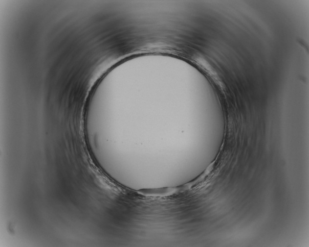 X0000097821336200804041350