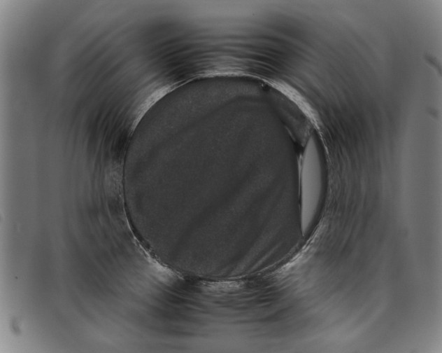 X0000097821337200804041350