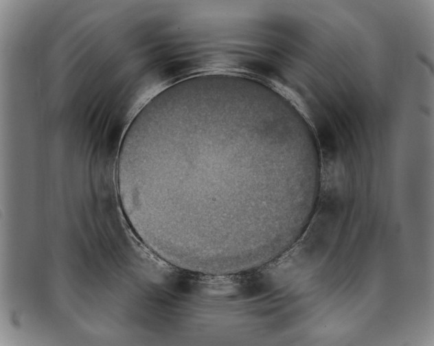 X0000097821338200804041350