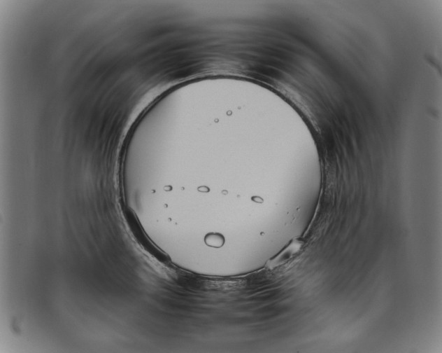 X0000097821339200804041350