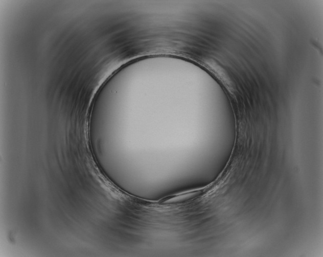 X0000097821340200804041350