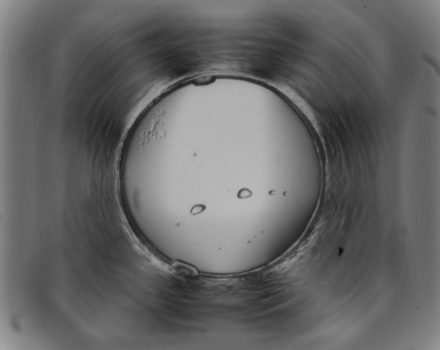 X0000097821341200804041350