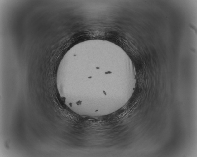 X0000097821345200804041349