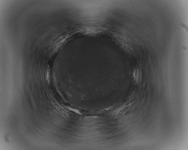 X0000097821348200804041349