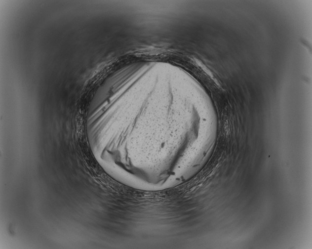 X0000097821350200804041349