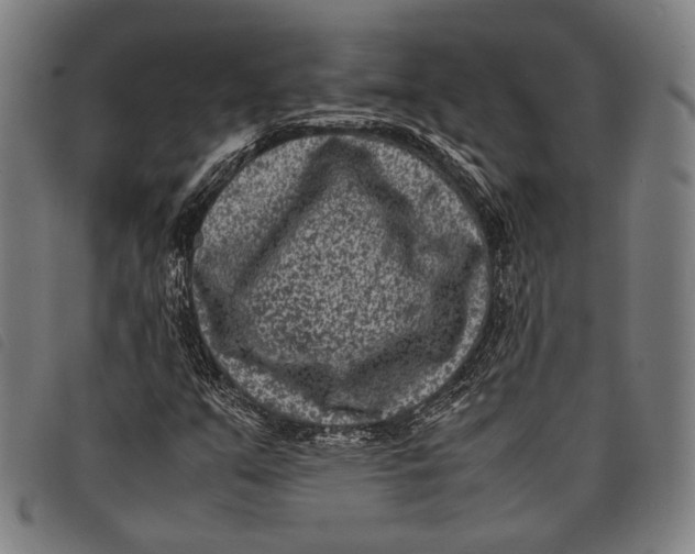 X0000097821351200804041349