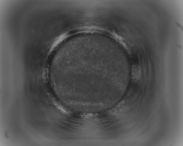 X0000097821352200804041349