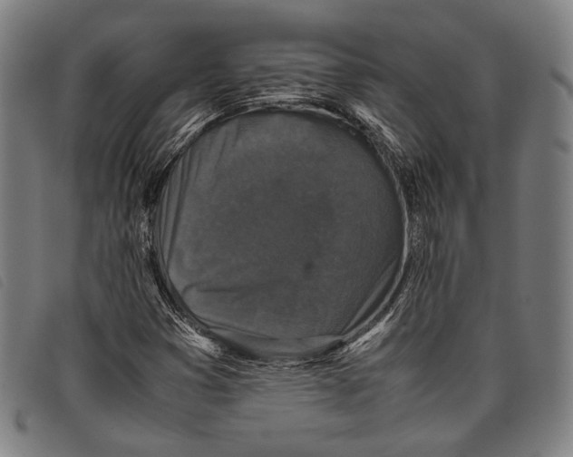 X0000097821353200804041349