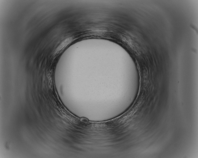 X0000097821354200804041349